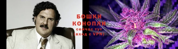 метадон Новозыбков