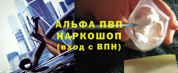 СК Нефтегорск