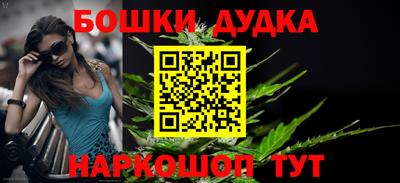 индика Мариинск