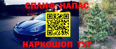 ECSTASY Малгобек
