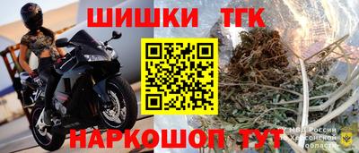 индика Мариинск
