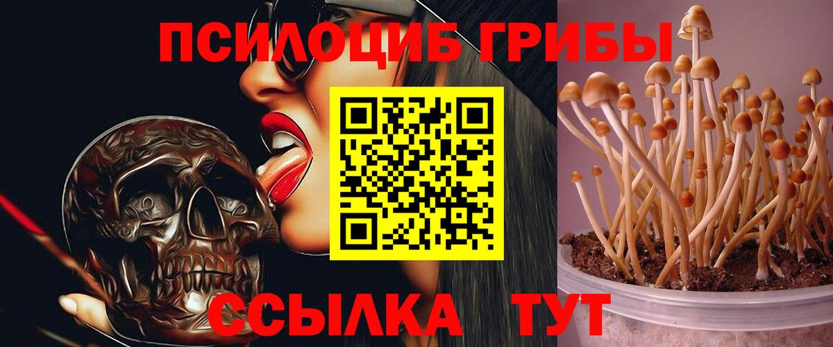Псилоцибиновые грибы Magic Shrooms  Вход с VPN  Евпатория 